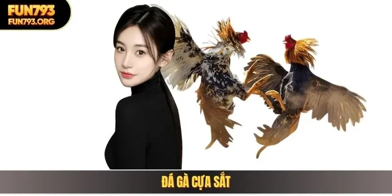 đá gà cựa sắt