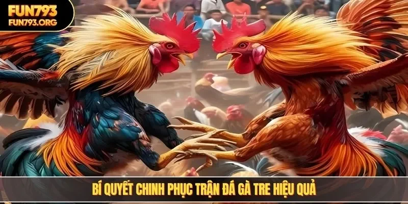 Bí quyết chinh phục trận đá gà tre hiệu quả