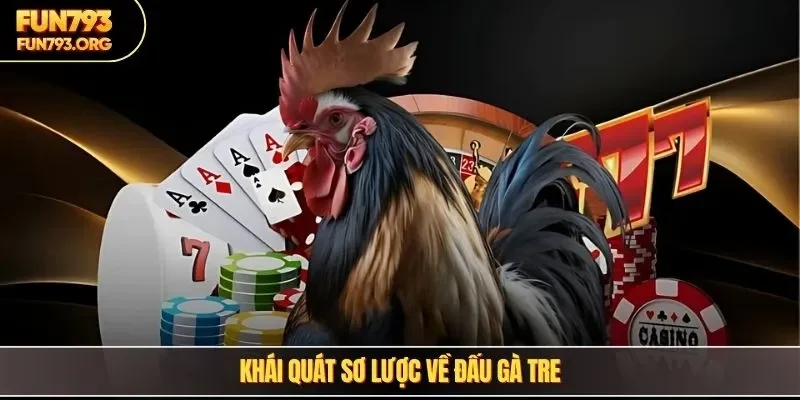 Khái quát sơ lược về đấu gà tre